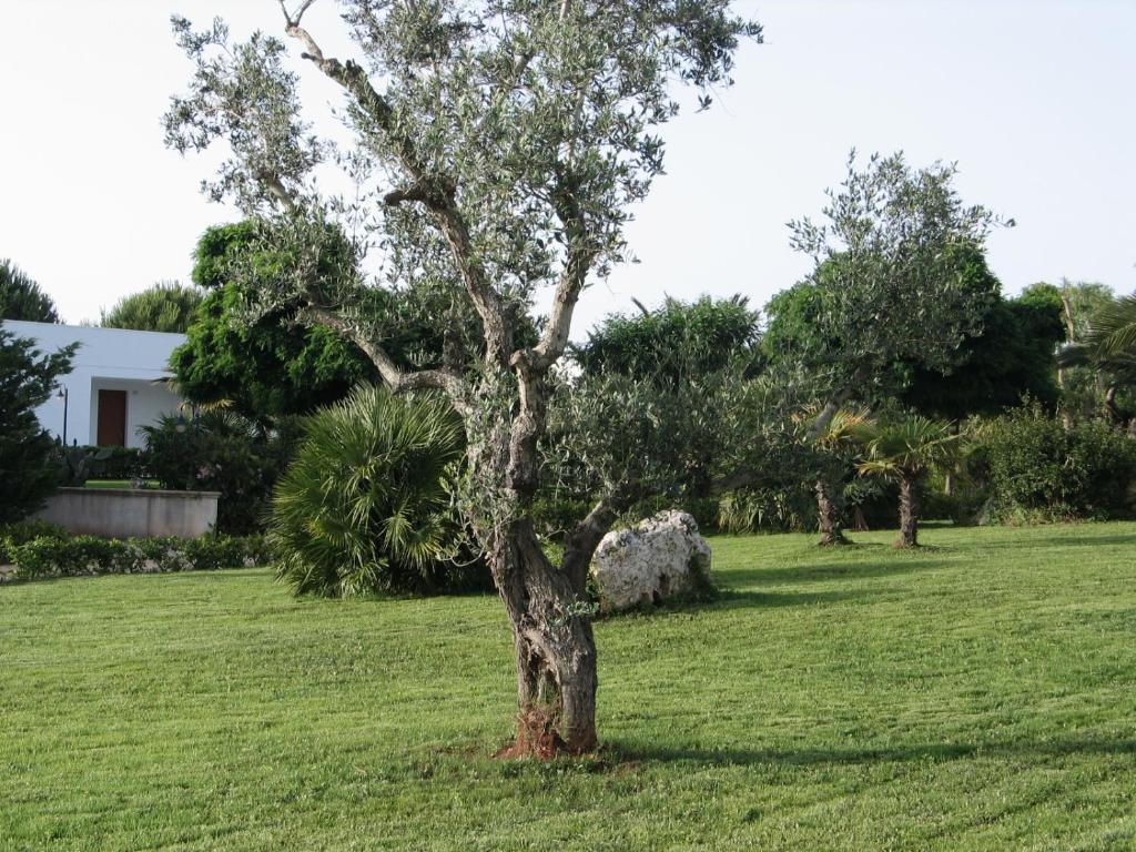 Vila Agriturismo Il Venticello Santa Cesarea Terme Exteriér fotografie